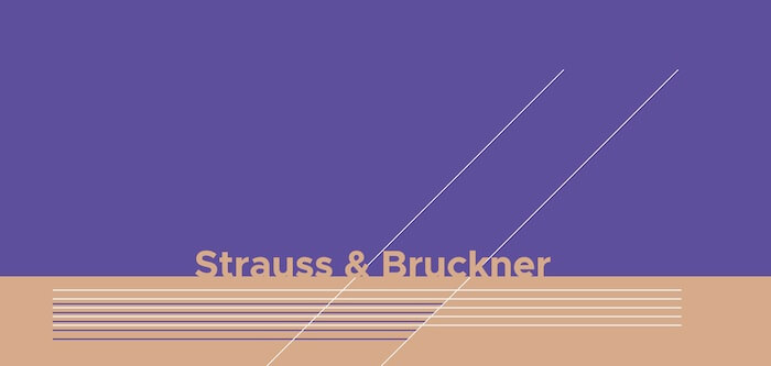 I Musici Strauss & Bruckner