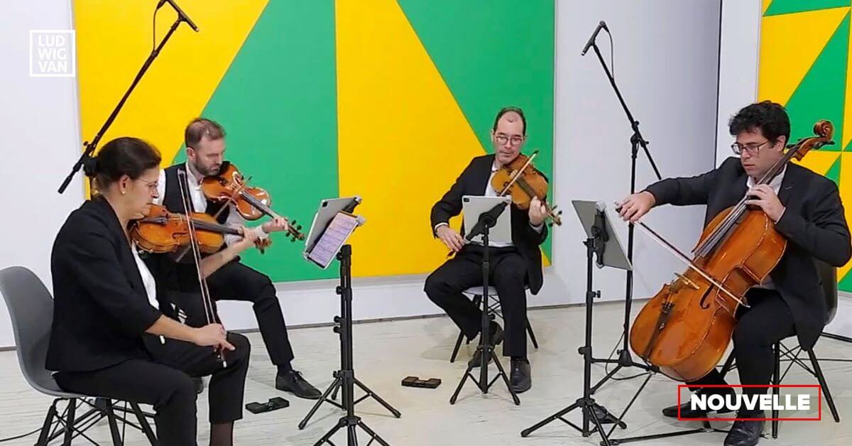 Le Quatuor Molinari fête ses 25 ans cette année. (Photo: John Klepko)