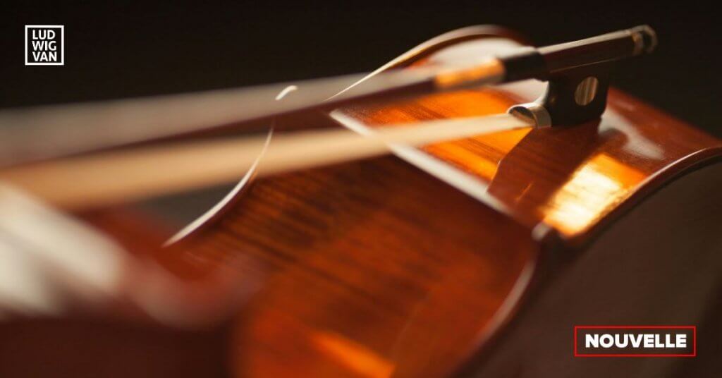 La GMMQ et l'UDA se joignent à d'autres syndicats du milieu culturel pour réclamer une refonte du processus d'attribution des subventions. (Photo : violoncelle couché, Méline Waxx)