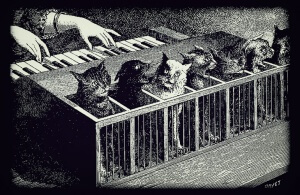 Illustration: The Katzenklavier cat piano
