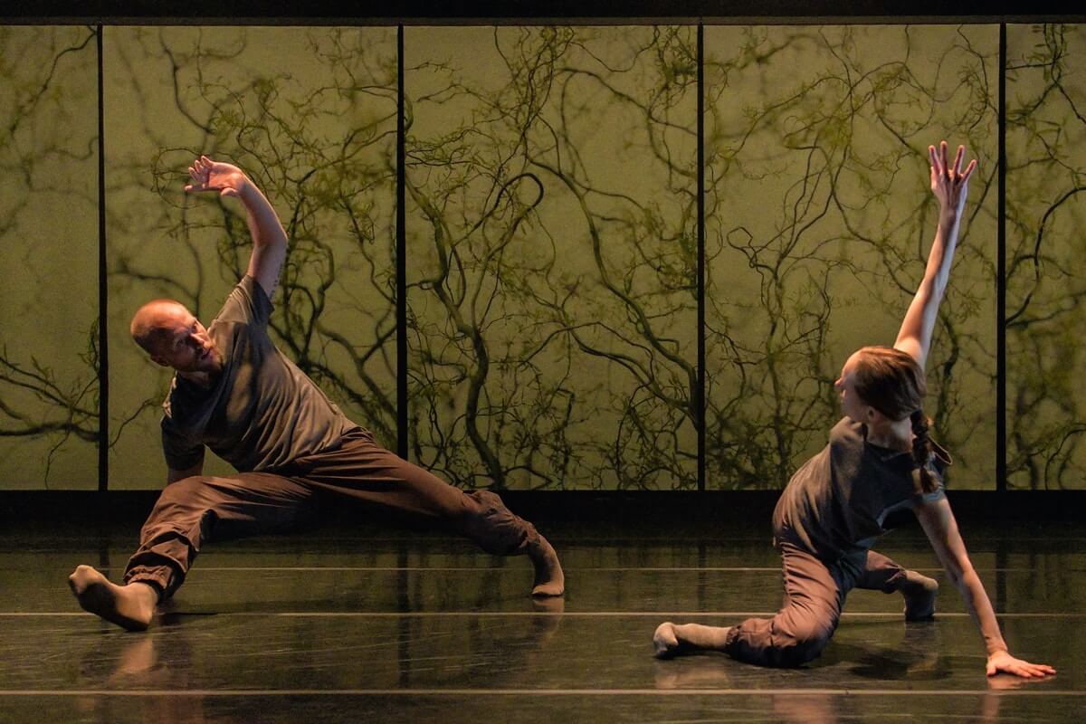 James Gregg and Anne Plamondon in 'Only You' (Photo: Michael Slobodian)
