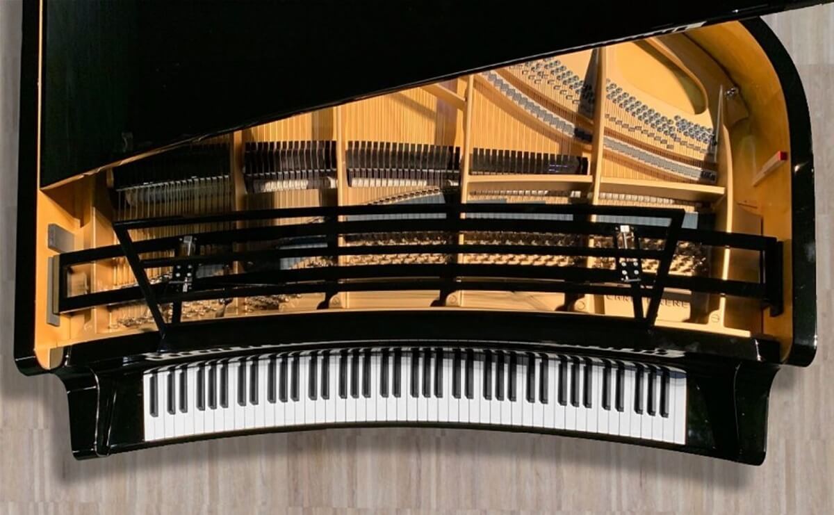 The Maene-Viñoly Concert Grand (Photo courtesy of Rafael Viñoly Architects)