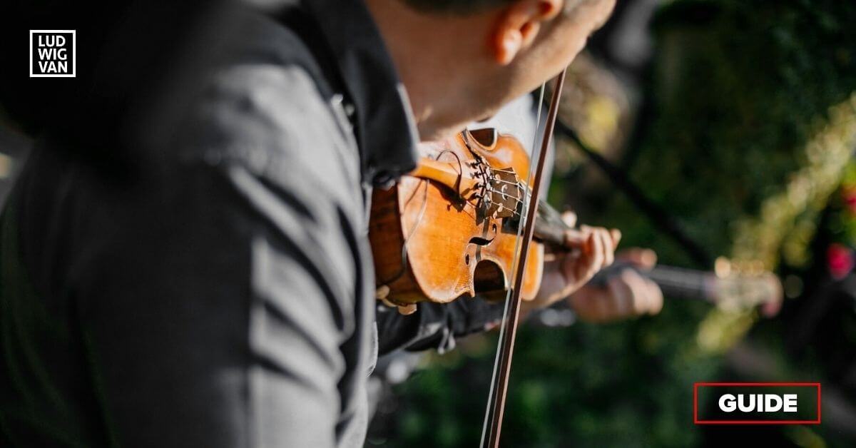 Violinist playing outdoors (Photo: Marko Milivojevic/PIXNIO/CCOC)