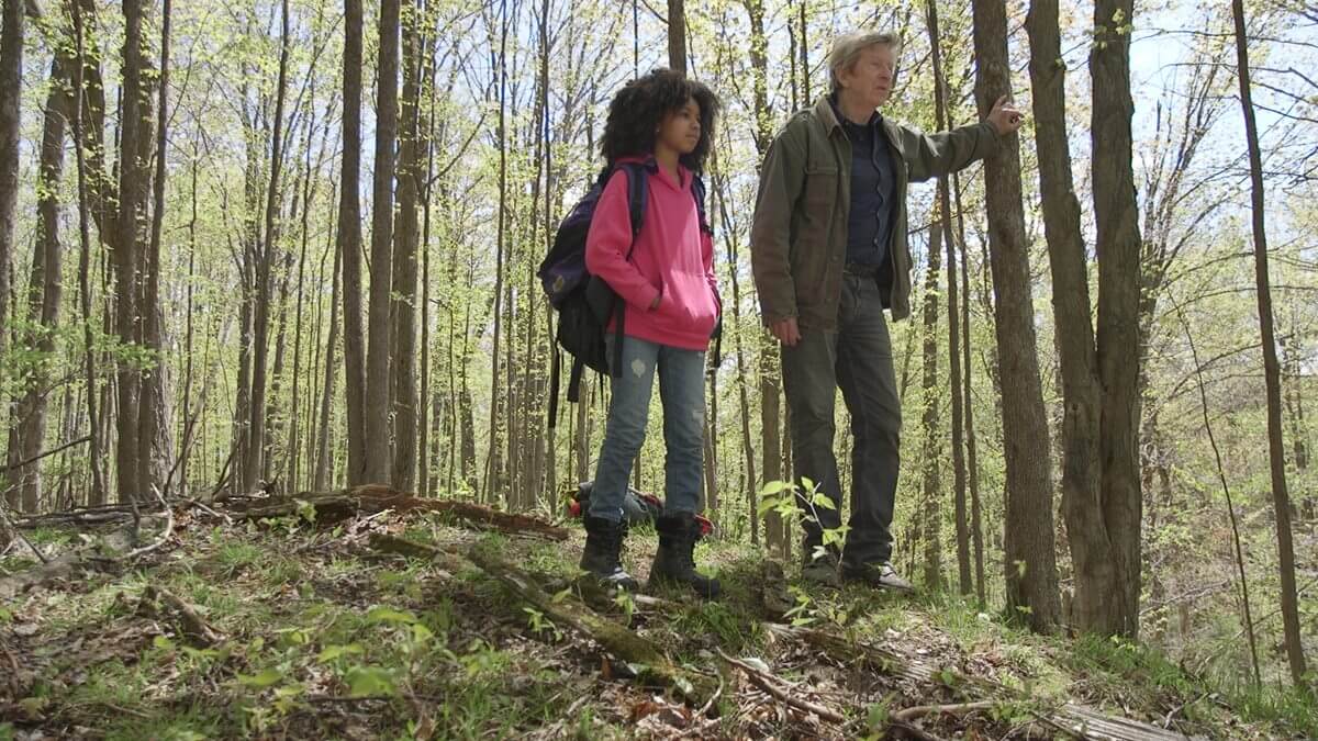 The Last Curlew, a film by Tom Allen (Photo courtesy of Tom Allen)