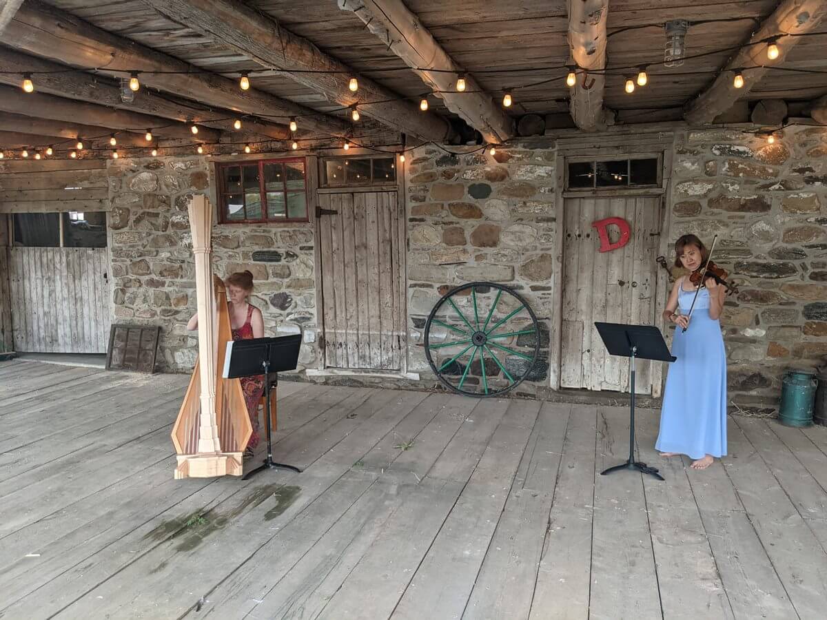 The Last Curlew, a film by Tom Allen (Photo courtesy of Tom Allen)