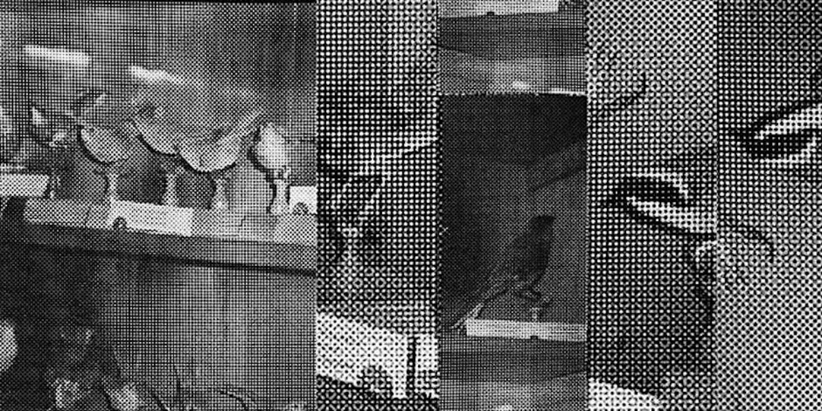 Graphic for Resonant Threads Collective's concert AIR/MOTION (Courtesy of Resonant Threads Collective)