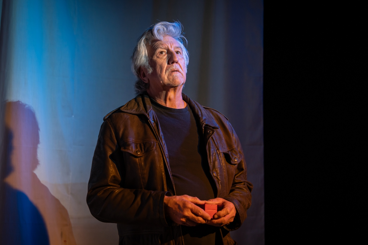 Scott Wentworth in Dandelion Theatre’s production of D. Halpern's An Orchid and Other Such Lilies and Lies (Photo: Seamus Easton)