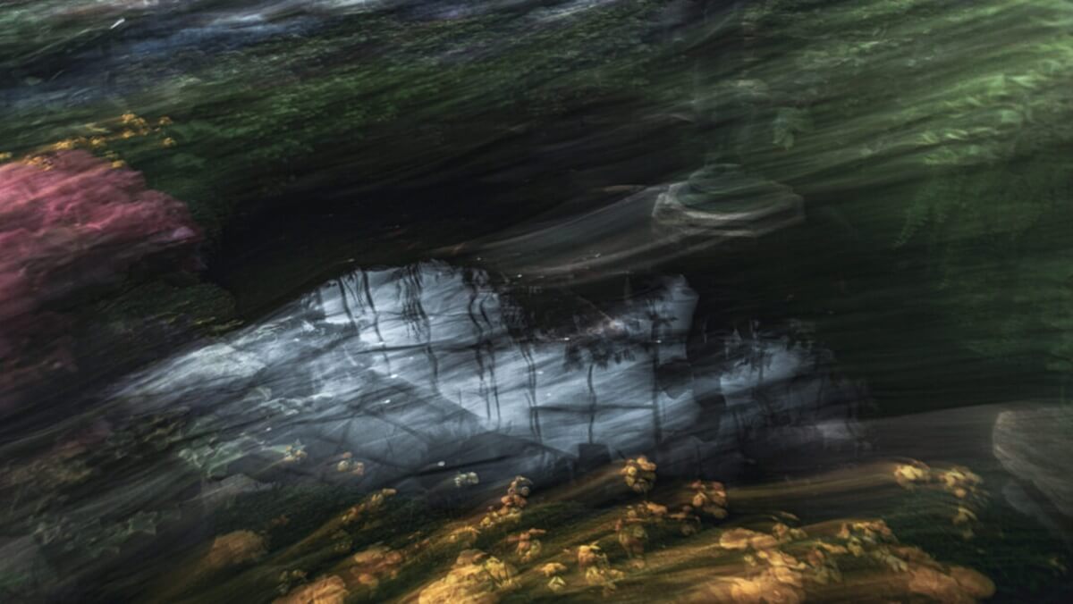 Alino Giraldi, Reverie, 2024. Digital photography. Image courtesy of the artist
